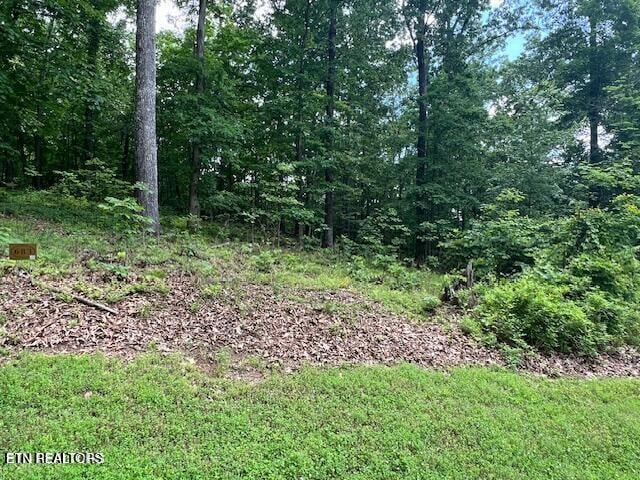 506 Grande Vista Dr, Rockwood, TN 37854