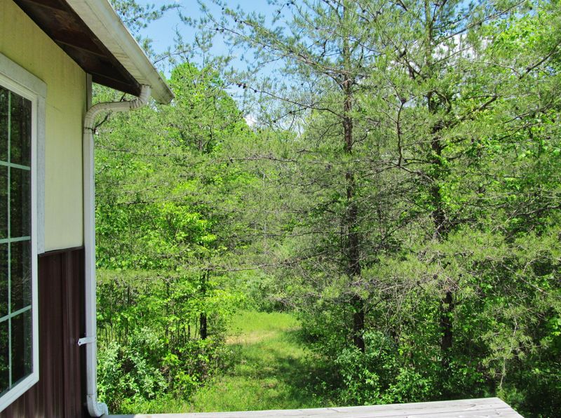 506 Shady Grove Rd, Lancing, TN 37770