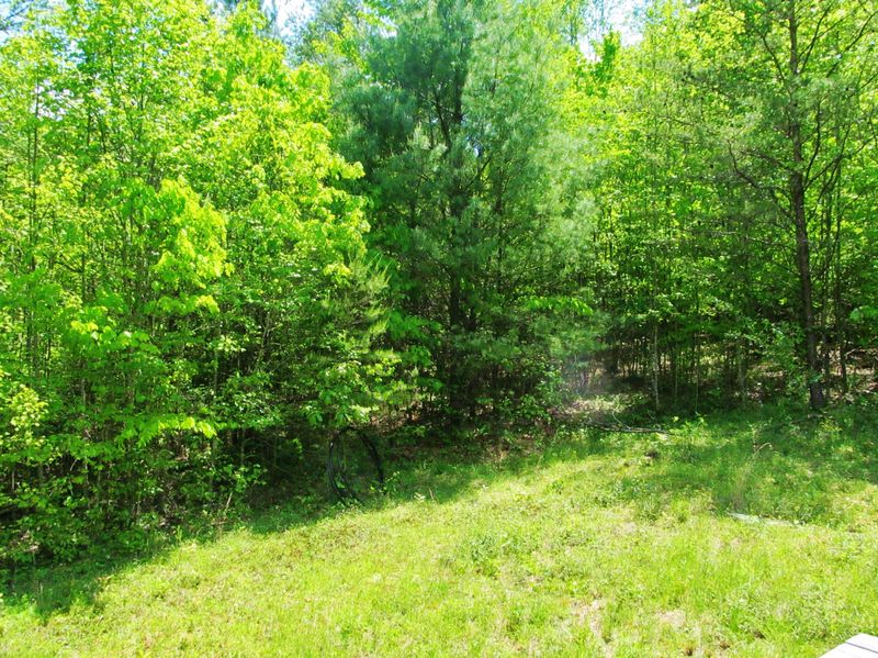506 Shady Grove Rd, Lancing, TN 37770