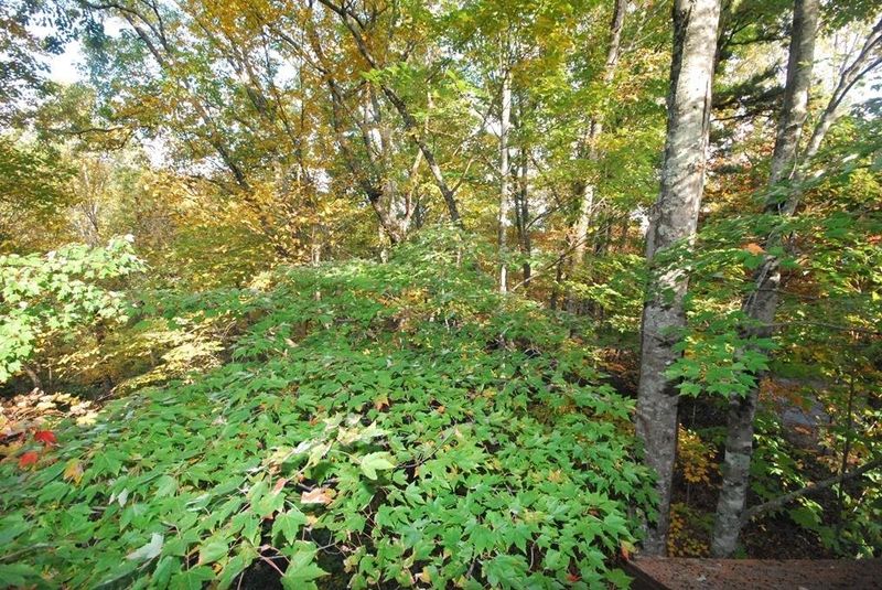 507 Edgewood Dr, Gatlinburg, TN 37738