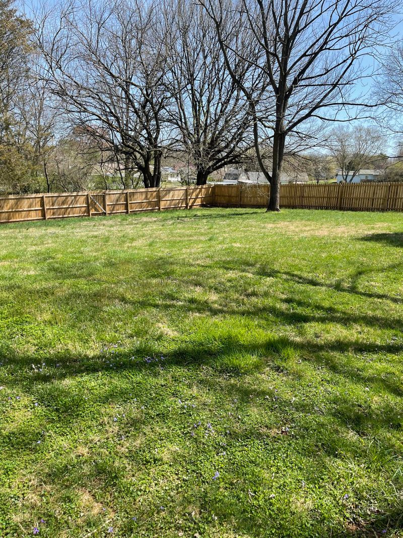 508 Tillman Rd, Knoxville, TN 37912