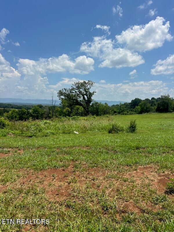 5087 Gregory Rd, Greenback, TN 37742