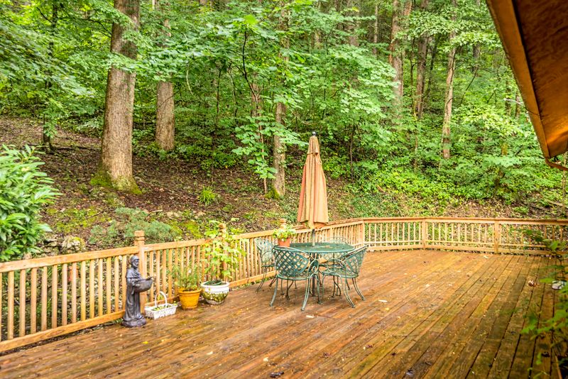 509 Domar Ct, Townsend, TN 37882