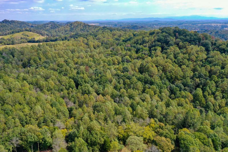 509 Red Ankle Rd, Sweetwater, TN 37874