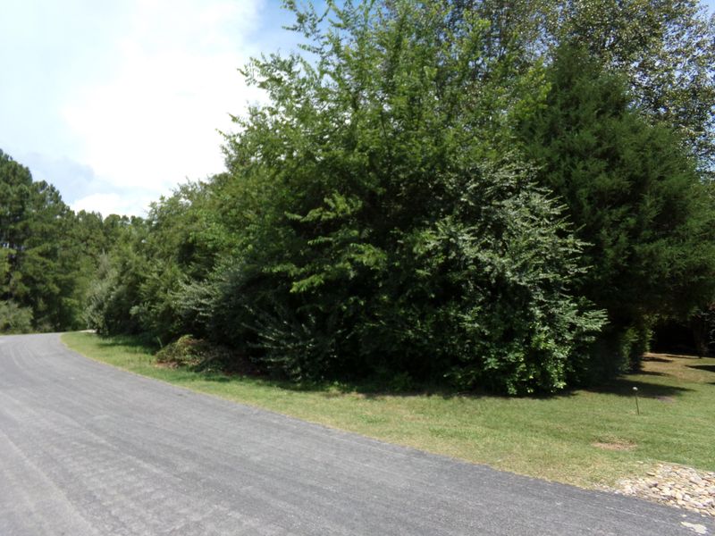 509 Tanasi Cir, Loudon, TN 37774