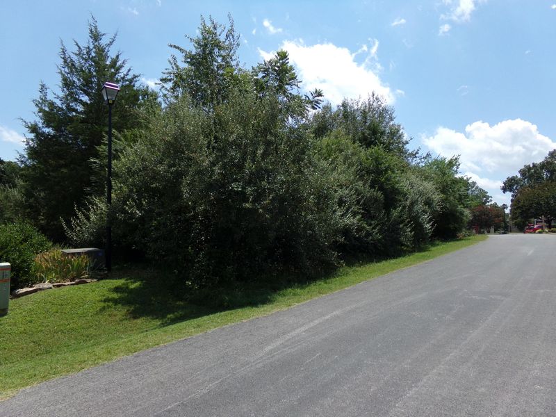 509 Tanasi Cir, Loudon, TN 37774