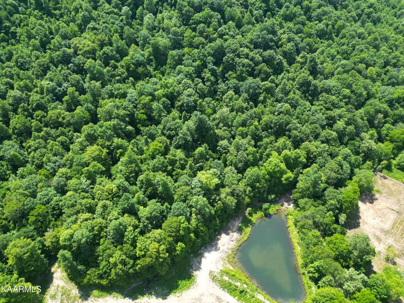 5090 Buffalo Rd, Oneida, TN 37841