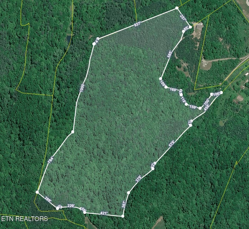 51 acres Off Rocky Branch Rd, Rutledge, TN 37861