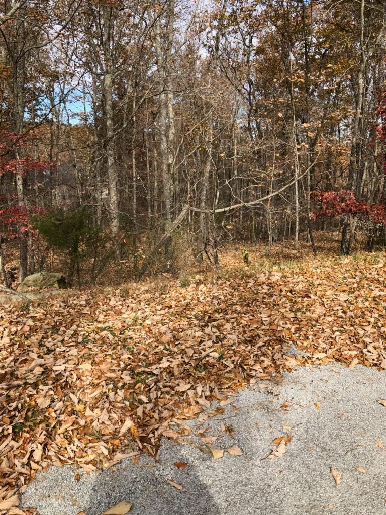 51 Havenridge Pl, Crossville, TN 38558