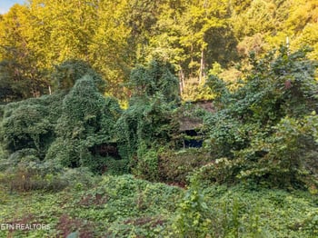 5106 Highway 25w S E Of, Lafollette, TN 37766