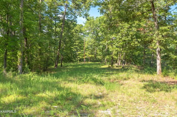 511 De Armond Rd, Kingston, TN 37763