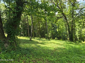 511 Harper St, Loudon, TN 37774