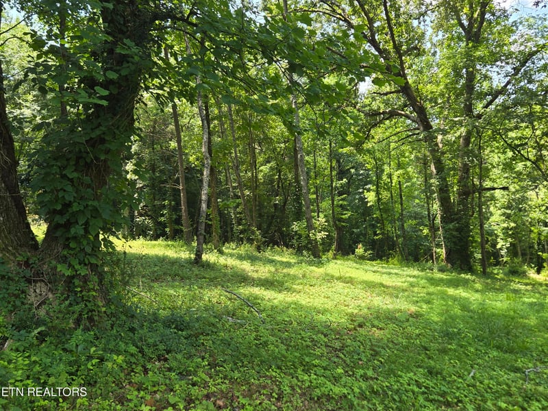 511 Harper St, Loudon, TN 37774