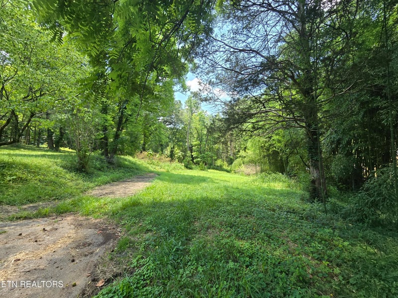 511 Harper St, Loudon, TN 37774