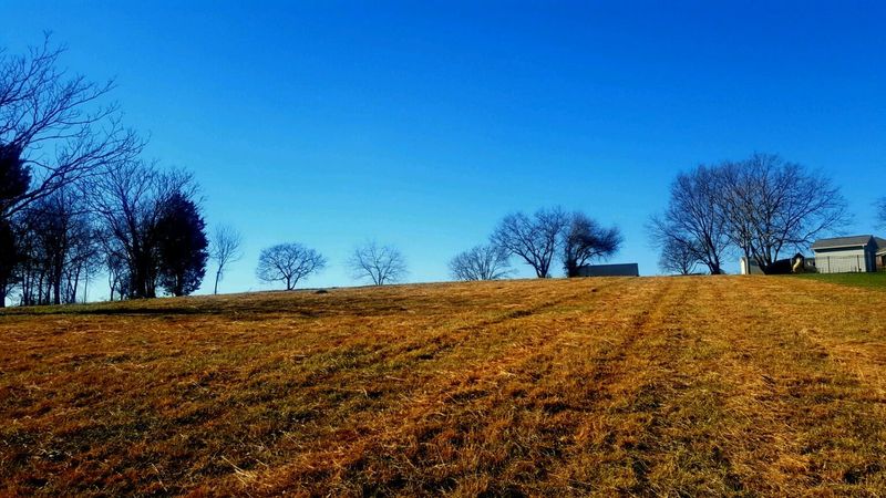 5122 Gregory Rd, Greenback, TN 37742