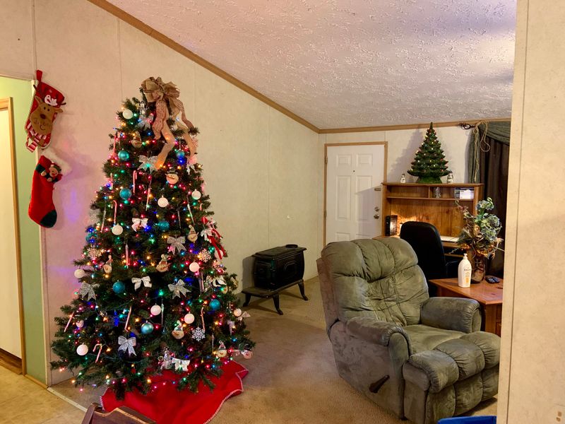513 Bull Run Rd, Luttrell, TN 37779