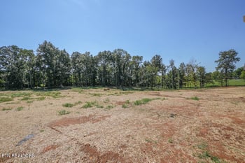 5133 Gregory Rd, Greenback, TN 37742