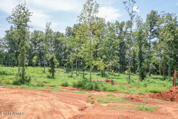 5137 Gregory Rd, Greenback, TN 37742