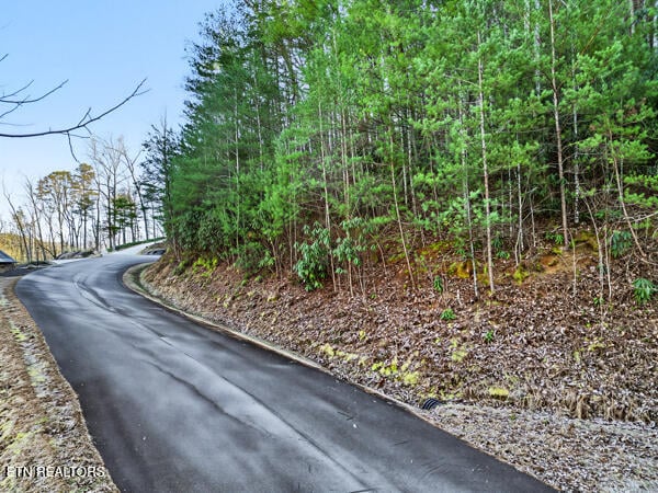 514 Chetola Tr, Townsend, TN 37882