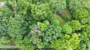 514 Concord Rd, Knoxville, TN 37934