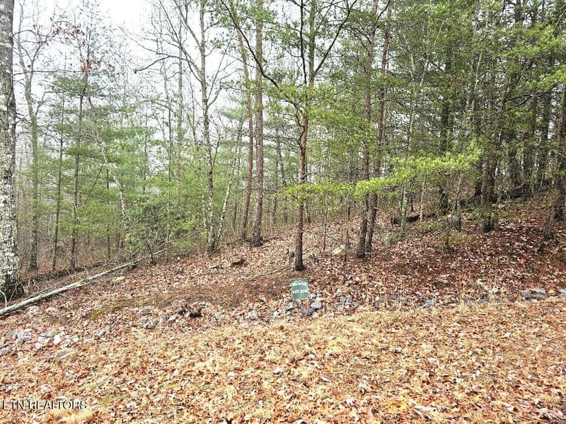 514 Percussion Ct, Walland, TN 37886