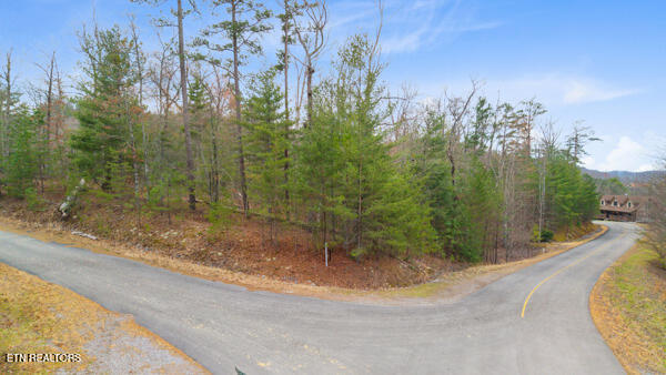 514 Percussion Ct, Walland, TN 37886