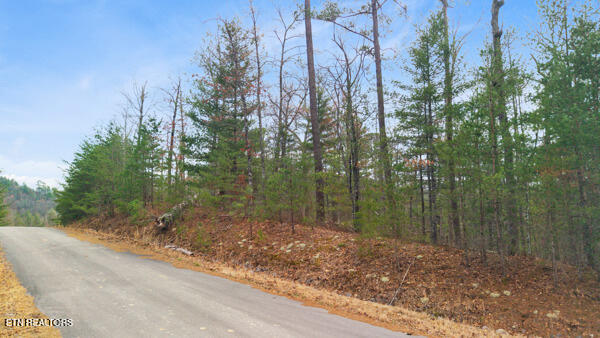 514 Percussion Ct, Walland, TN 37886