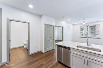 515 Cafego Pl #113, Knoxville, TN 37902