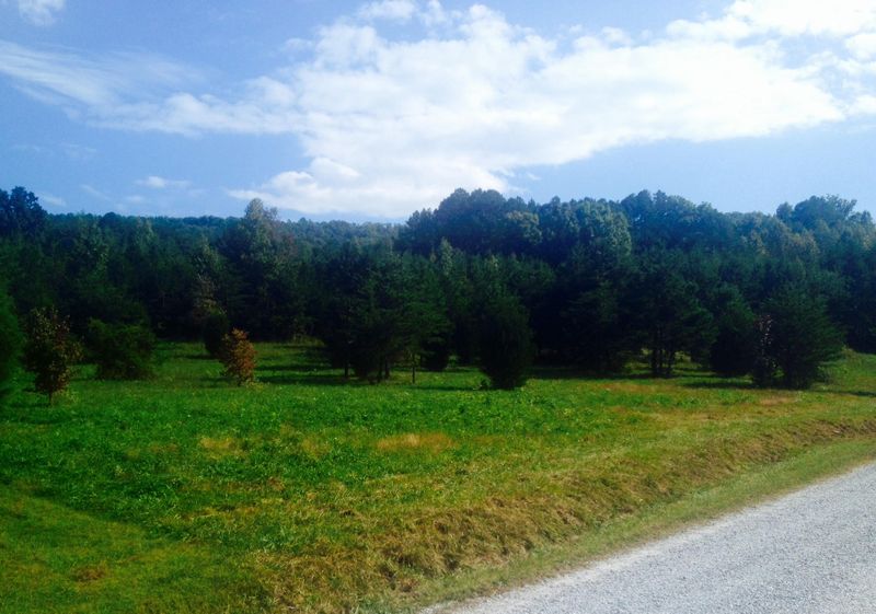 515 Mountain Shadow Ln, Maryville, TN 37803