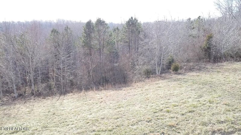 516 Cedar Gate Ln, Lafollette, TN 37766