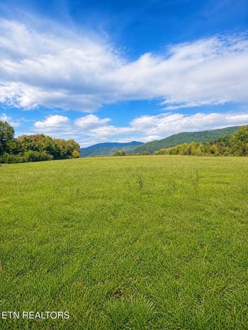 516 Petit Ln, Wartburg, TN 37887