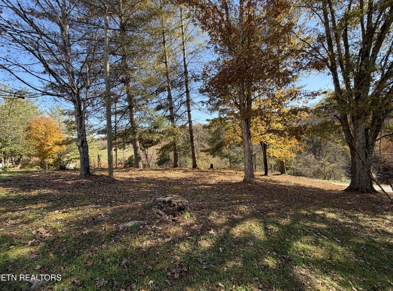 517 Bull Run Rd, Luttrell, TN 37779