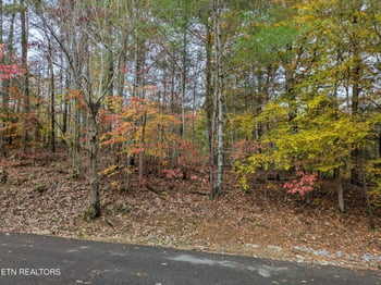 517 Clearwater Cir, Townsend, TN 37882