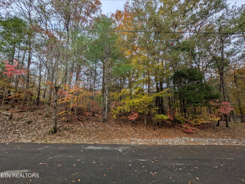 517 Clearwater Cir, Townsend, TN 37882