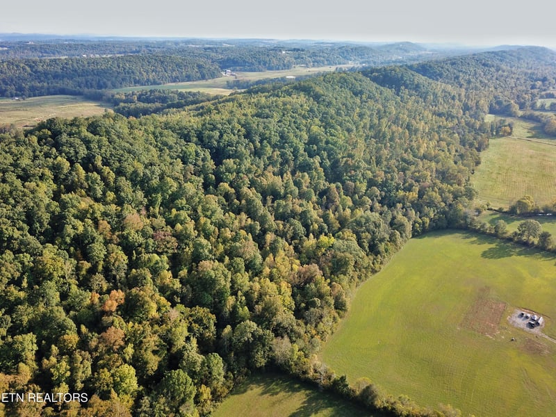 517 Paint Rock Valley Rd, Philadelphia, TN 37846