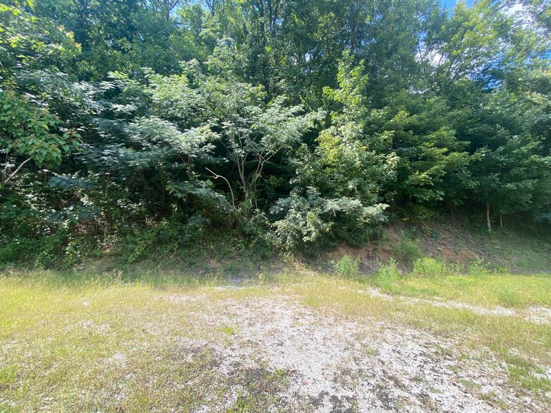 518 Baumgartner Rd, Harriman, TN 37748