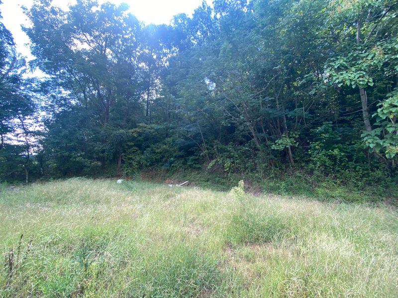 518 Baumgartner Rd, Harriman, TN 37748