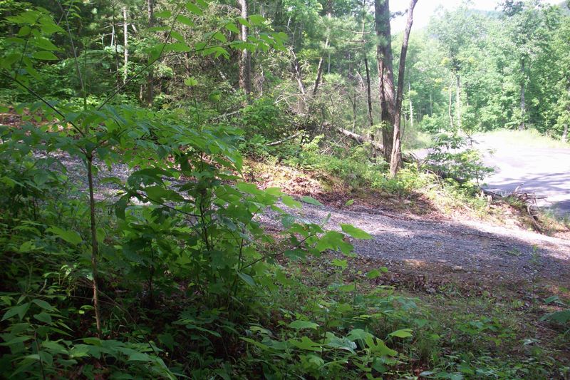 518 Chetola Tr, Townsend, TN 37882
