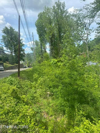 519 Cherokee Orchard Rd, Gatlinburg, TN 37738