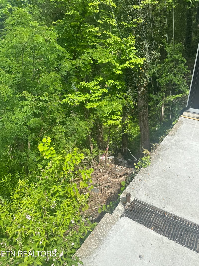 519 Cherokee Orchard Rd, Gatlinburg, TN 37738
