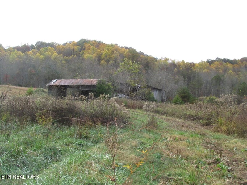5194 Jones Cove Rd, Cosby, TN 37722