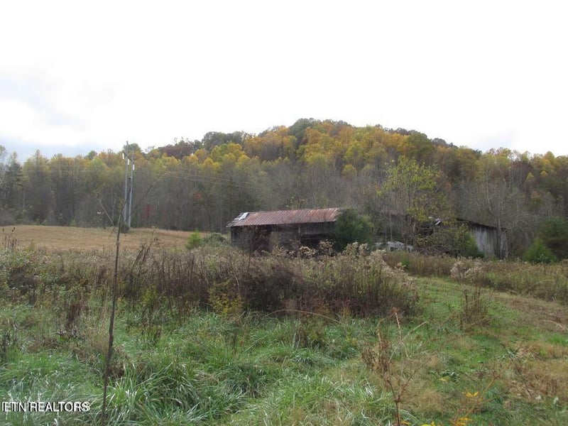 5194 Jones Cove Rd, Cosby, TN 37722