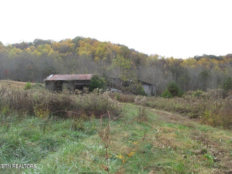 5194 Jones Cove Rd, Cosby, TN 37722