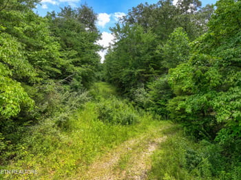 52.88 AC Nashville Hwy, Deer Lodge, TN 37726