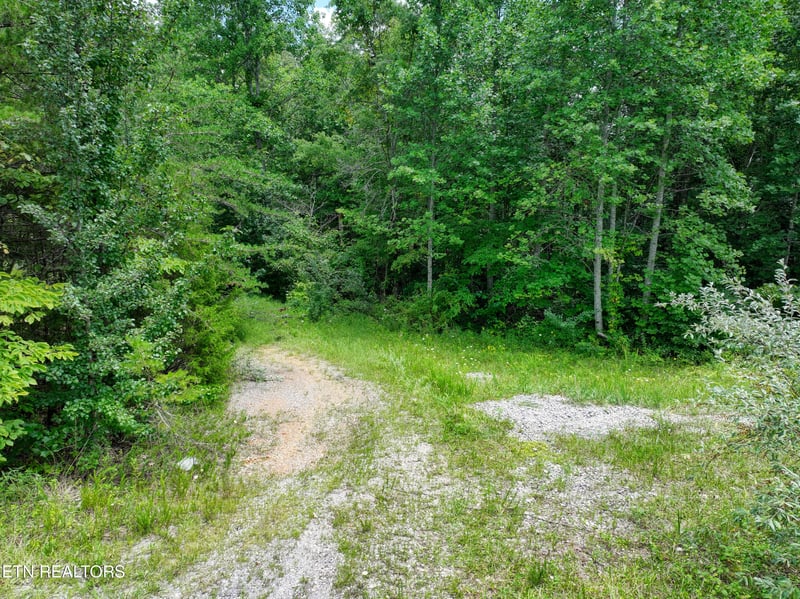 52.88 AC Nashville Hwy, Deer Lodge, TN 37726