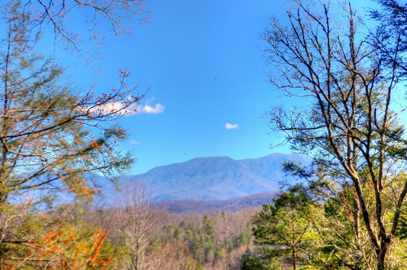 520 Johnson Ln, Gatlinburg, TN 37738