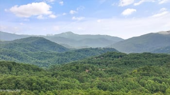 520 Proffitt Rd #1, Gatlinburg, TN 37738