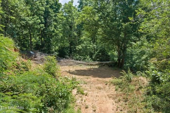 520 Verless Ogle Rd, Sevierville, TN 37876
