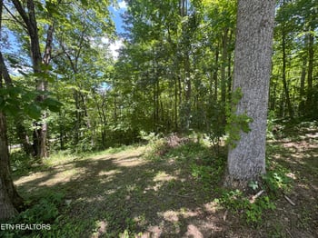 520 W Hills Dr, Huntsville, TN 37756