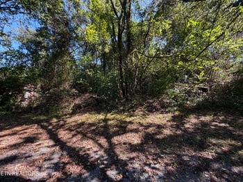 5204 Murphy Rd, Knoxville, TN 37918